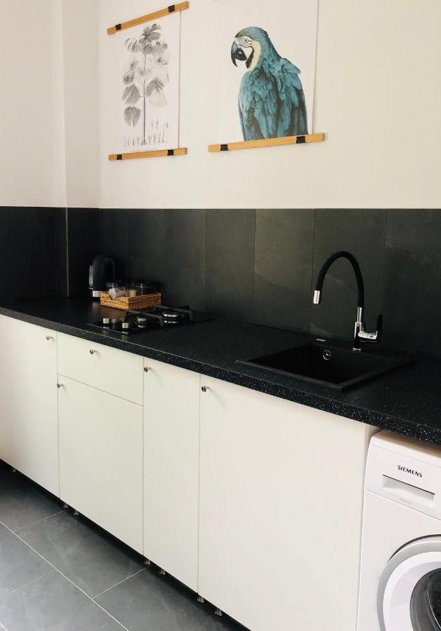 Appartement Pobuudka II Plebanska Z Widokiem Na Rynek à Gliwice Extérieur photo